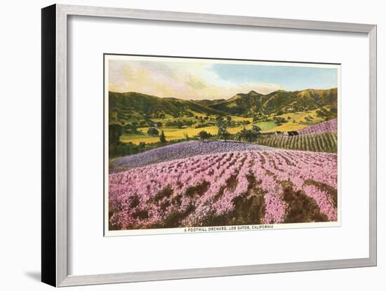 Orchards, Los Gatos, California-null-Framed Art Print