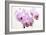 Orchid-2017-31-Gordon Semmens-Framed Giclee Print