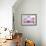 Orchid-2017-32-Gordon Semmens-Framed Giclee Print displayed on a wall