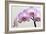 Orchid-2017-33-Gordon Semmens-Framed Giclee Print