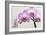 Orchid-2017-33-Gordon Semmens-Framed Giclee Print