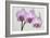 Orchid-2017-34-Gordon Semmens-Framed Giclee Print