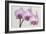 Orchid-2017-34-Gordon Semmens-Framed Giclee Print