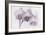 Orchid-2017-34bw-Gordon Semmens-Framed Giclee Print