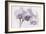 Orchid-2017-34bw-Gordon Semmens-Framed Giclee Print