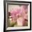 Orchid Affair-Marlana Semenza-Framed Art Print