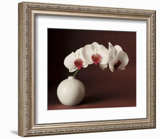 Orchid and white vase-Florence Rouquette-Framed Art Print