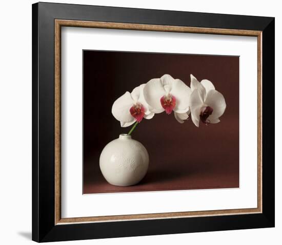 Orchid and white vase-Florence Rouquette-Framed Art Print