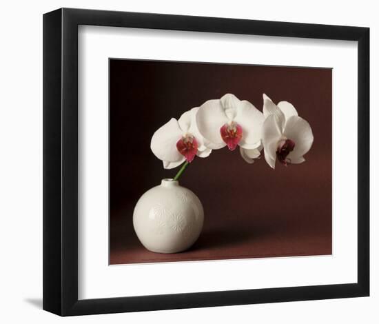 Orchid and white vase-Florence Rouquette-Framed Art Print