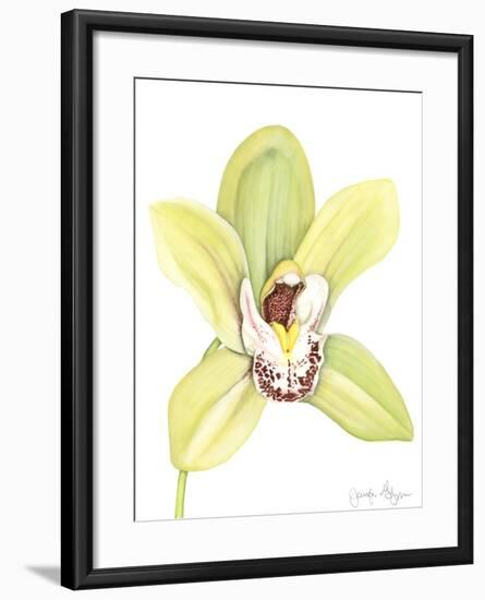 Orchid Beauty II-Jennifer Goldberger-Framed Art Print