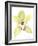 Orchid Beauty II-Jennifer Goldberger-Framed Art Print