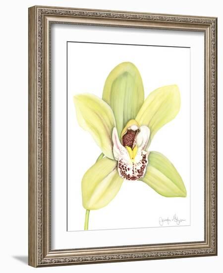 Orchid Beauty II-Jennifer Goldberger-Framed Art Print