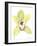 Orchid Beauty II-Jennifer Goldberger-Framed Art Print