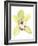 Orchid Beauty II-Jennifer Goldberger-Framed Art Print