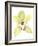 Orchid Beauty II-Jennifer Goldberger-Framed Art Print