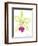 Orchid Beauty III-Jennifer Goldberger-Framed Art Print