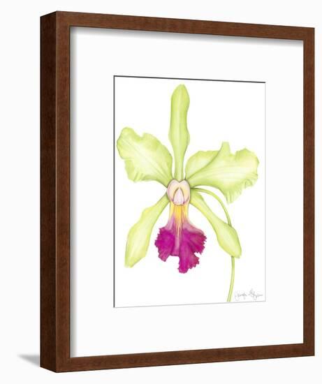 Orchid Beauty III-Jennifer Goldberger-Framed Art Print