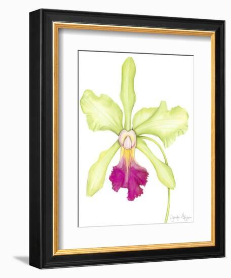 Orchid Beauty III-Jennifer Goldberger-Framed Premium Giclee Print