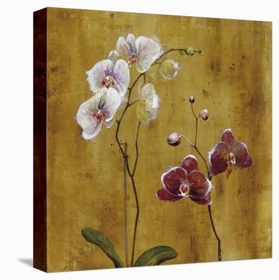 Orchid Bloom II-Georgie-Framed Stretched Canvas