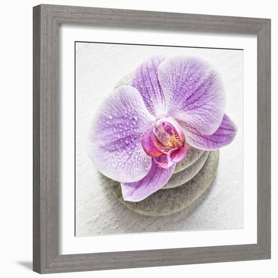 Orchid Blossom on Tower Made of Stones-Uwe Merkel-Framed Photographic Print