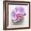 Orchid Blossom on Tower Made of Stones-Uwe Merkel-Framed Photographic Print