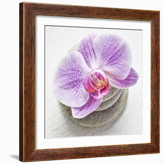 Orchid Blossom on Tower Made of Stones-Uwe Merkel-Framed Photographic Print