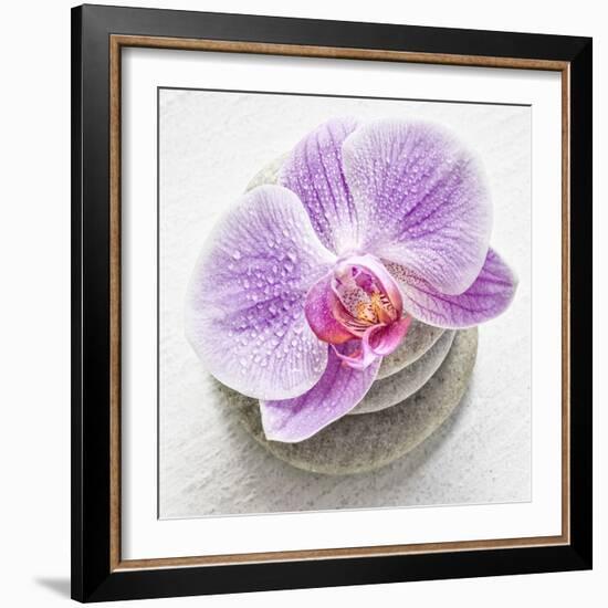 Orchid Blossom on Tower Made of Stones-Uwe Merkel-Framed Photographic Print