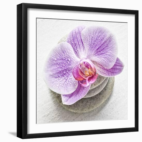 Orchid Blossom on Tower Made of Stones-Uwe Merkel-Framed Photographic Print