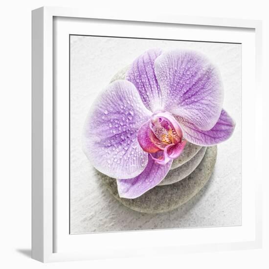 Orchid Blossom on Tower Made of Stones-Uwe Merkel-Framed Photographic Print