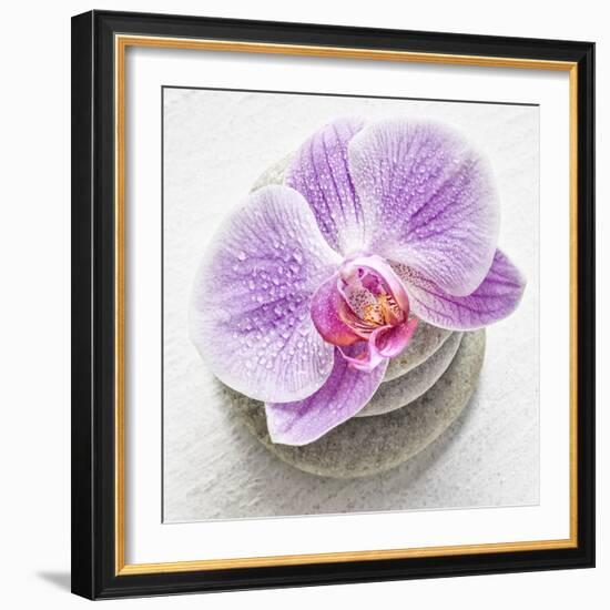 Orchid Blossom on Tower Made of Stones-Uwe Merkel-Framed Photographic Print