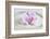 Orchid Blossom on White Sand-Uwe Merkel-Framed Photographic Print