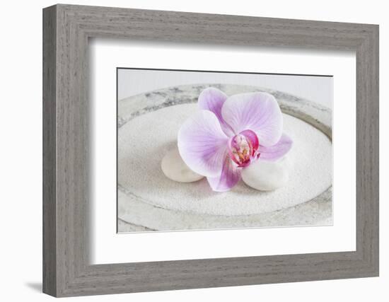 Orchid Blossom on White Sand-Uwe Merkel-Framed Photographic Print