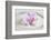 Orchid Blossom on White Sand-Uwe Merkel-Framed Photographic Print