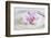 Orchid Blossom on White Sand-Uwe Merkel-Framed Photographic Print