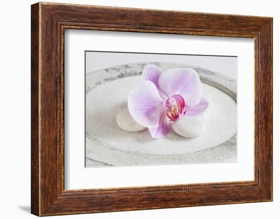 Orchid Blossom on White Sand-Uwe Merkel-Framed Photographic Print