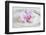Orchid Blossom on White Sand-Uwe Merkel-Framed Photographic Print