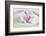 Orchid Blossom on White Sand-Uwe Merkel-Framed Photographic Print