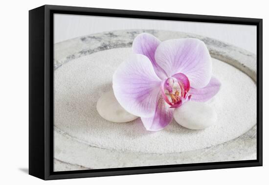 Orchid Blossom on White Sand-Uwe Merkel-Framed Premier Image Canvas