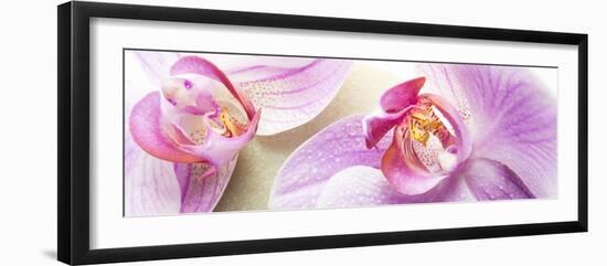 Orchid Blossoms on White Sand-Uwe Merkel-Framed Photographic Print