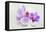 Orchid Blossoms on White Sand-Uwe Merkel-Framed Premier Image Canvas