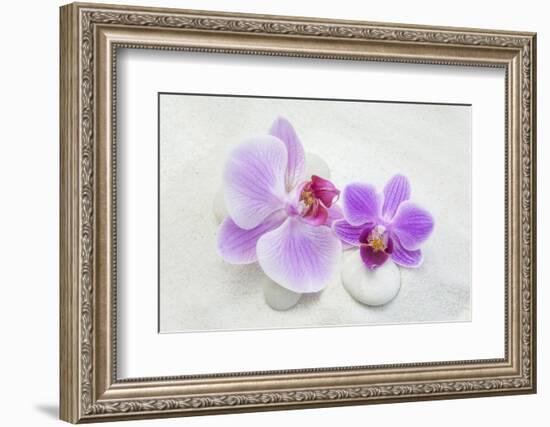 Orchid Blossoms on White Sand-Uwe Merkel-Framed Photographic Print