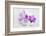 Orchid Blossoms on White Sand-Uwe Merkel-Framed Photographic Print