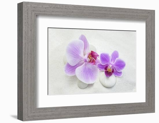 Orchid Blossoms on White Sand-Uwe Merkel-Framed Photographic Print