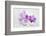 Orchid Blossoms on White Sand-Uwe Merkel-Framed Photographic Print