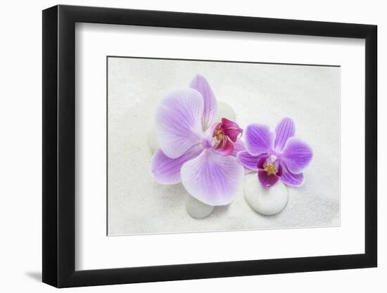 Orchid Blossoms on White Sand-Uwe Merkel-Framed Photographic Print