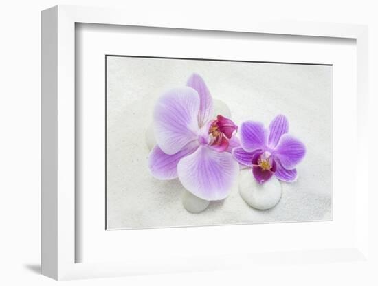 Orchid Blossoms on White Sand-Uwe Merkel-Framed Photographic Print