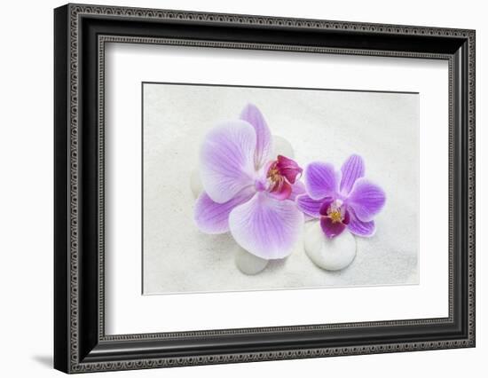 Orchid Blossoms on White Sand-Uwe Merkel-Framed Photographic Print