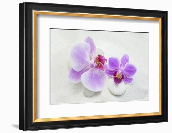 Orchid Blossoms on White Sand-Uwe Merkel-Framed Photographic Print