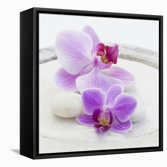 Orchid Blossoms on White Sand-Uwe Merkel-Framed Premier Image Canvas