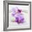 Orchid Blossoms on White Sand-Uwe Merkel-Framed Photographic Print